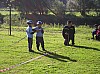 p1010023.jpg