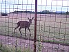 hasici025.jpg