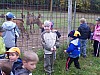 hasici026.jpg
