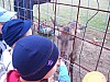 hasici038.jpg