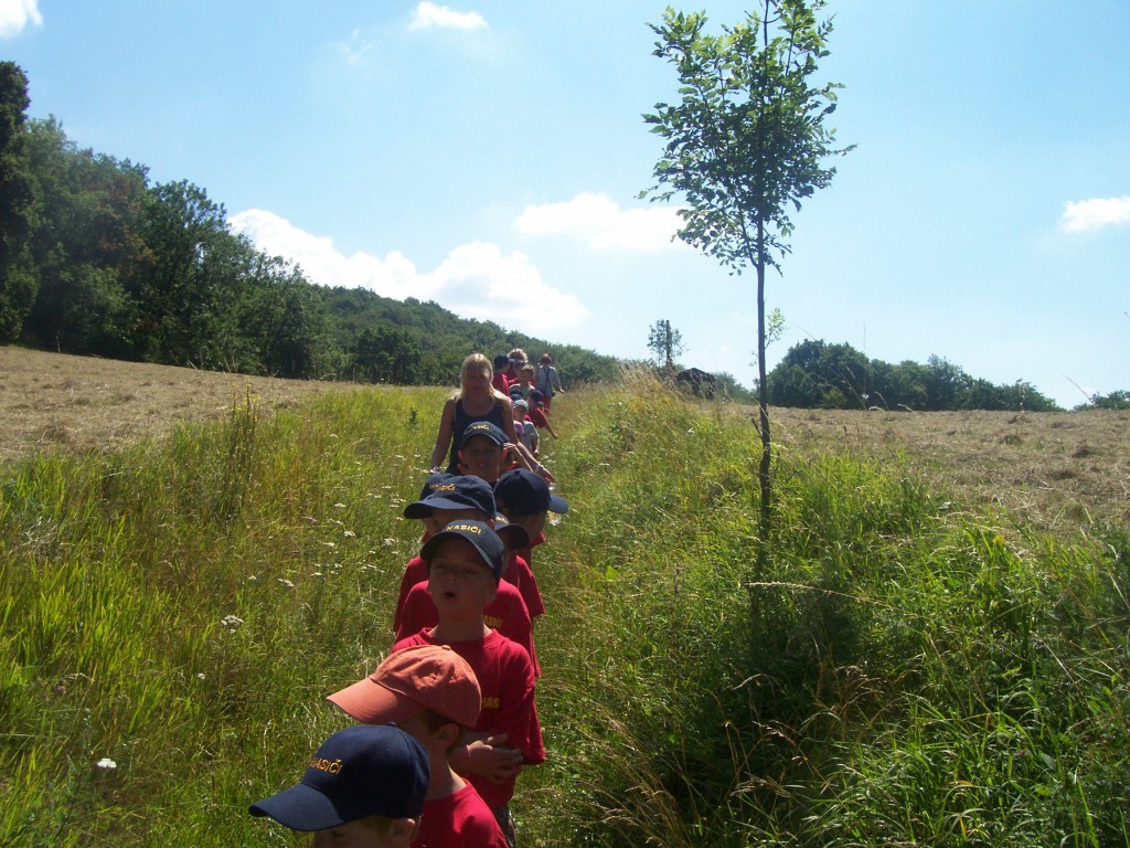 tabor076.jpg