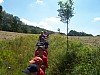 tabor076.jpg