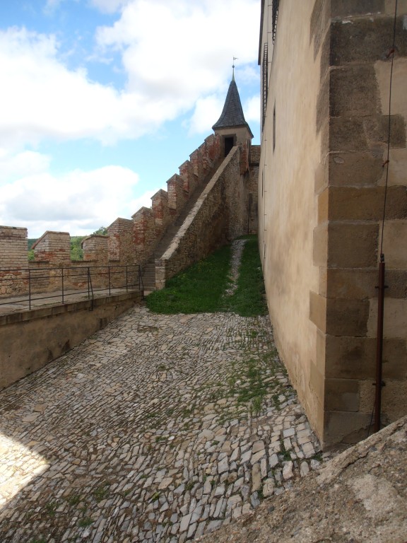 p7121631.jpg
