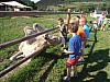 p7111583.jpg