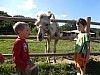 p7111589.jpg