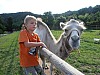 p7111596.jpg