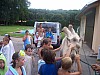 tabor_2012_006.jpg