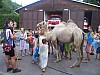 tabor_2012_008.jpg