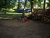 tabor_2012_085.jpg