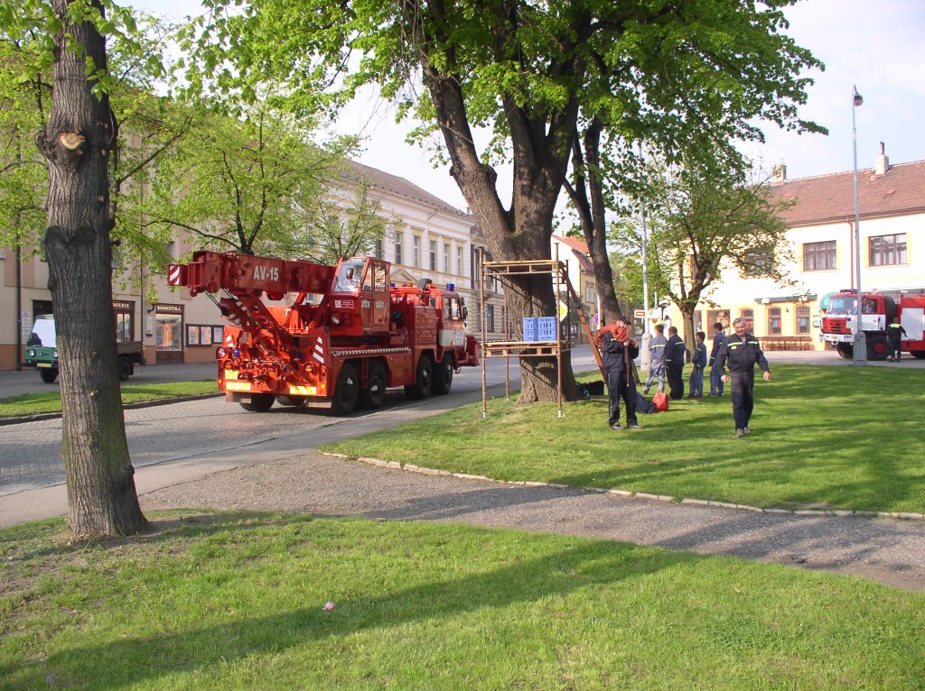 p5010056.jpg