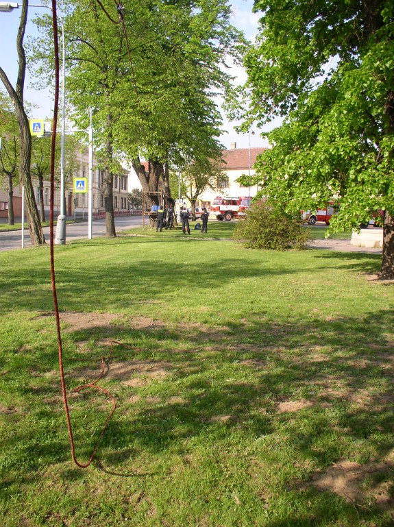 p5010069.jpg