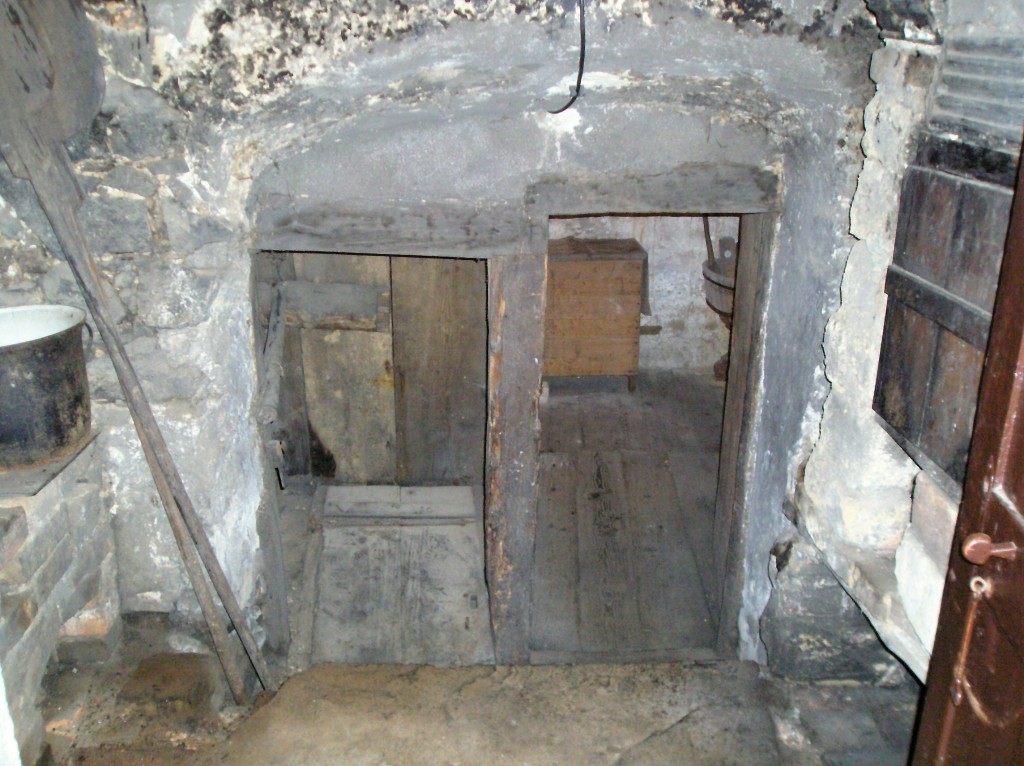 p1010069.jpg
