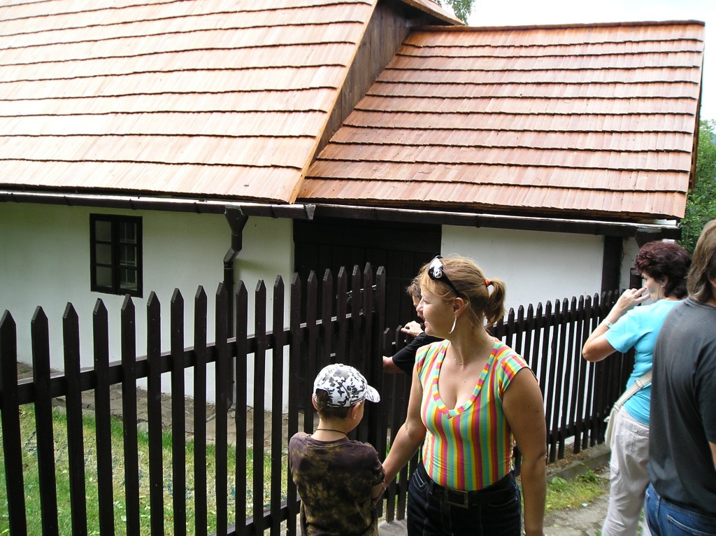 p1010084.jpg