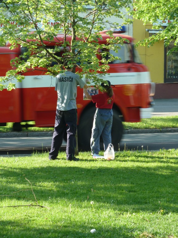 img_20120501_082104.jpg