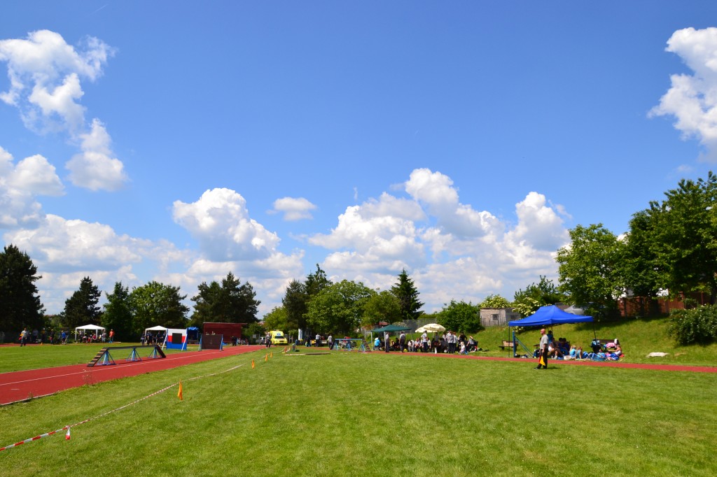dsc_0008.jpg