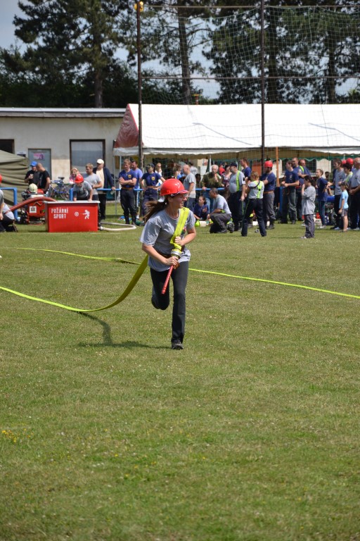 dsc_0335.jpg