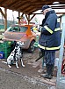 img_20110115_152212.jpg