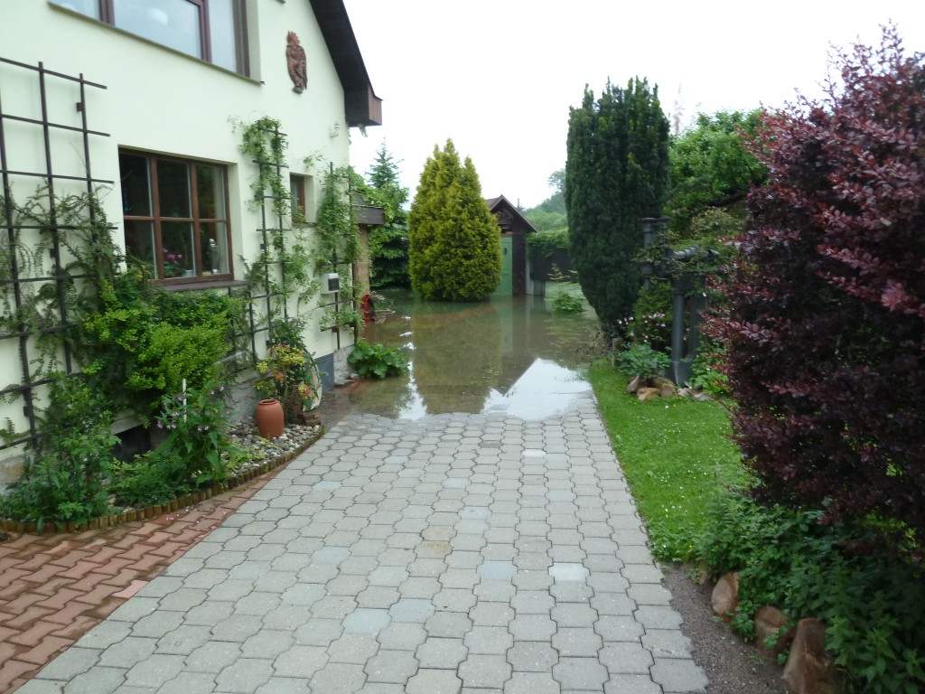 img_20130603_185042.jpg