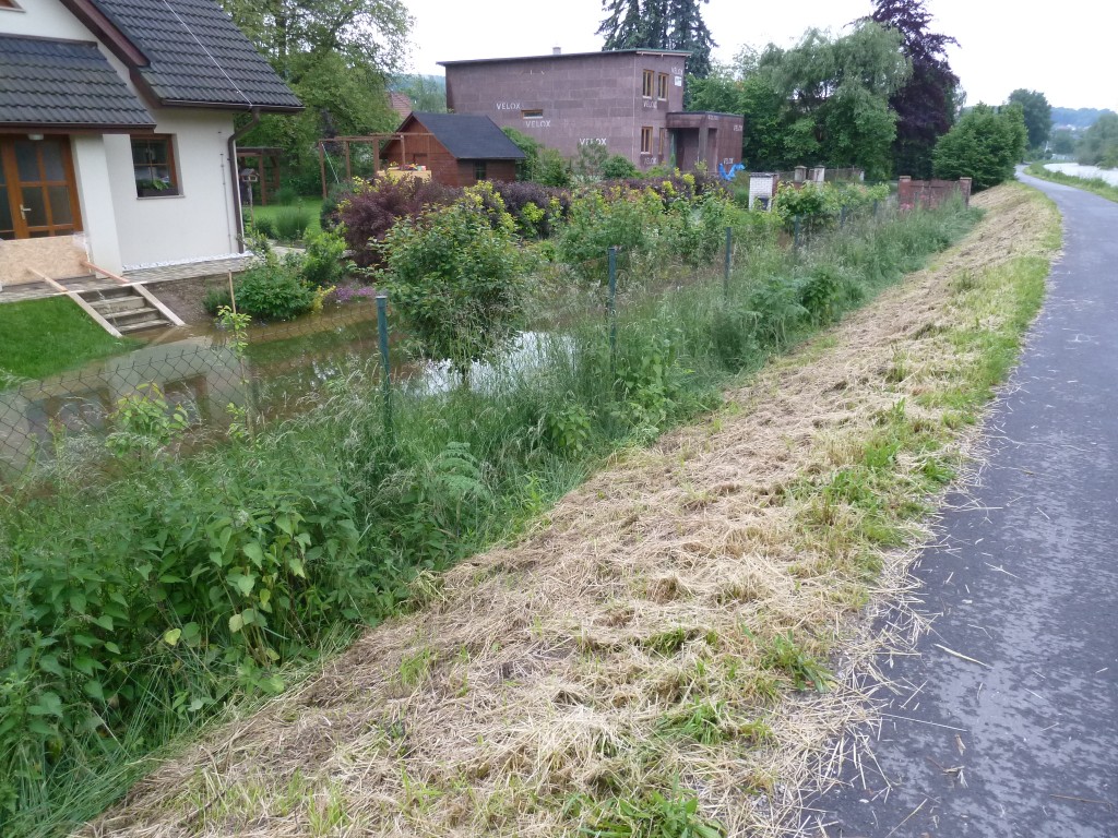 img_20130603_185230.jpg