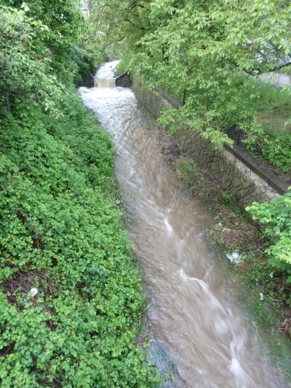 img_20130604_054632.jpg