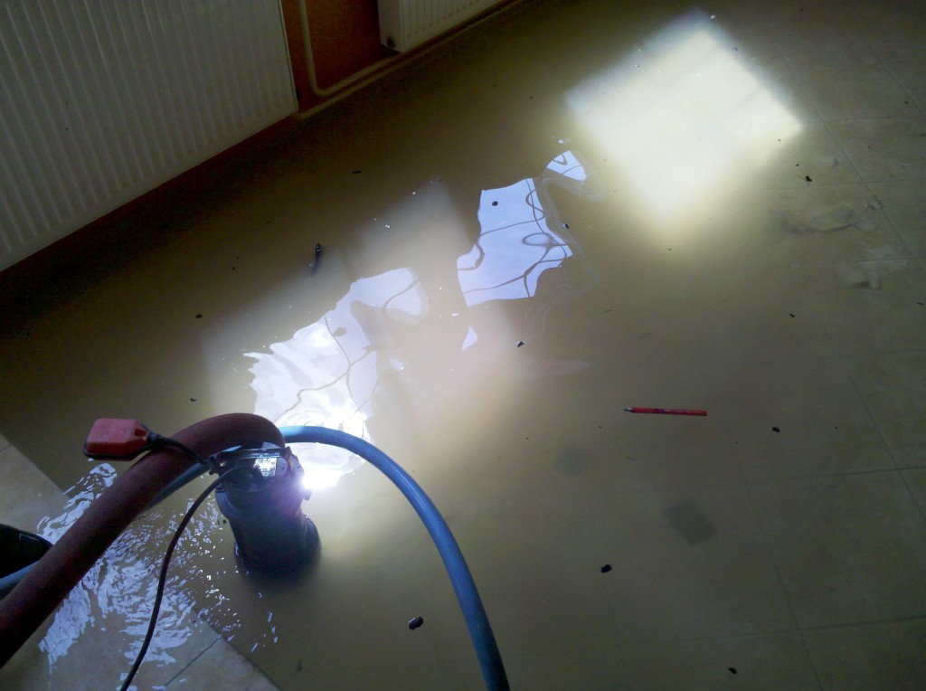 img_20130609_104804.jpg