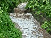 img_20130602_061854.jpg