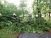 img_20130804_201716.jpg